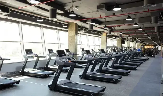 Gym treadmills equipped for cardio workouts and running exercises.