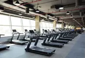 Motor City Gym Treadmill Zone