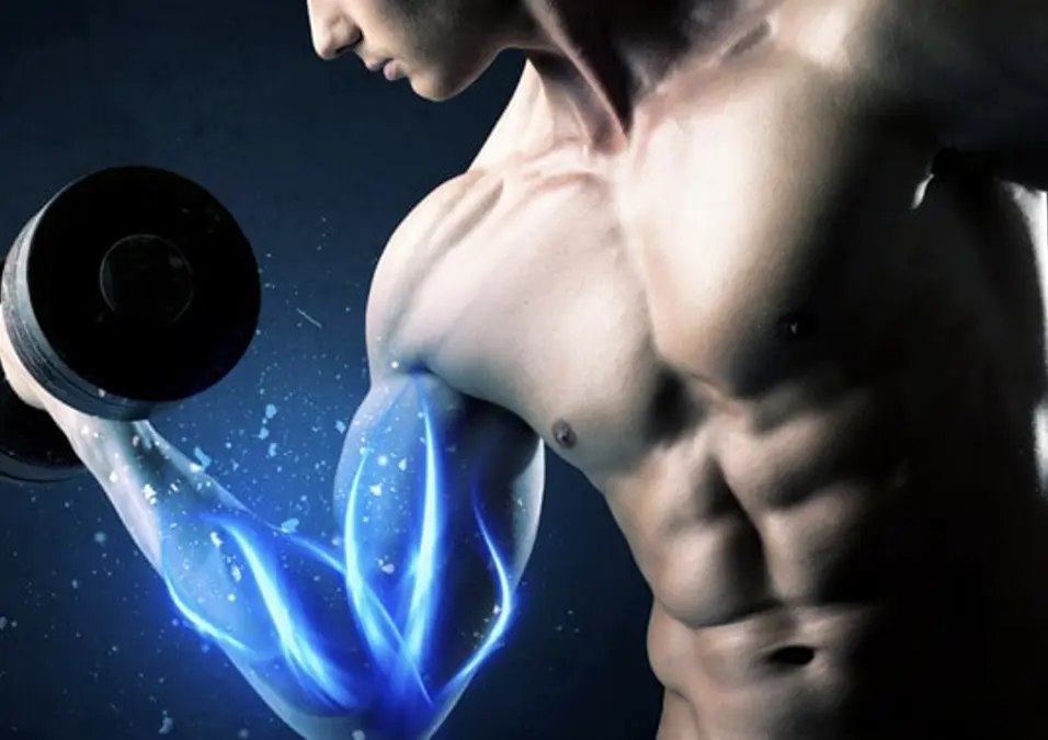 استشفاء العضلات