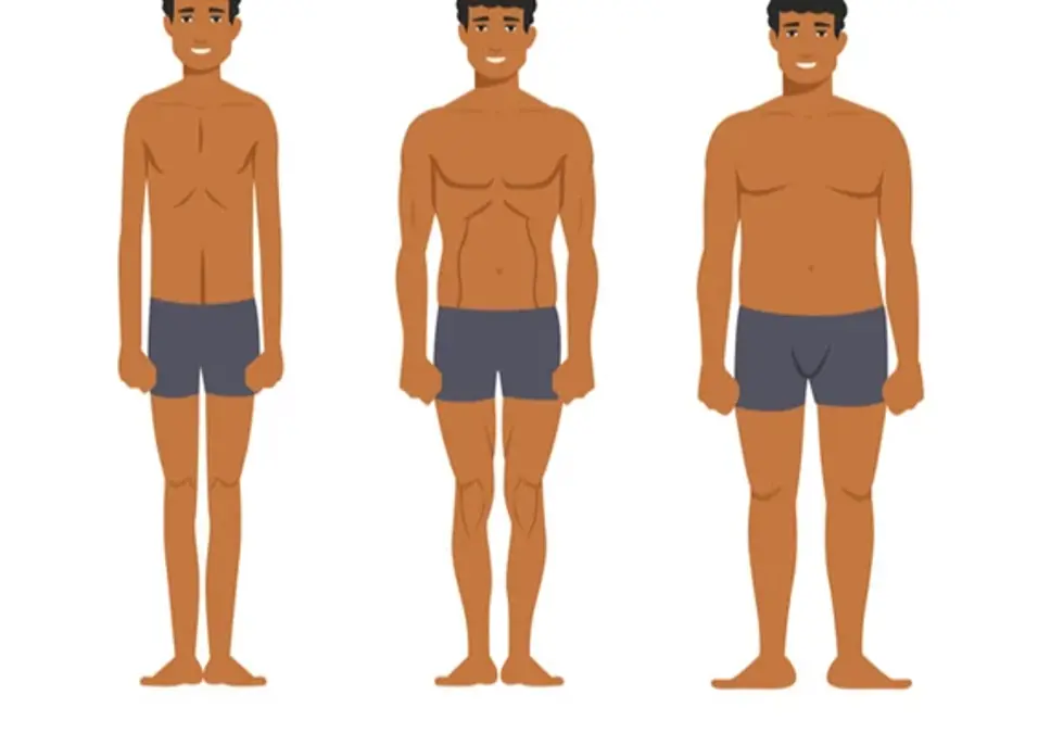 Men Body Types